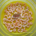 Frozen Pud Red Shrimp Solenocera Melantho para a Espanha